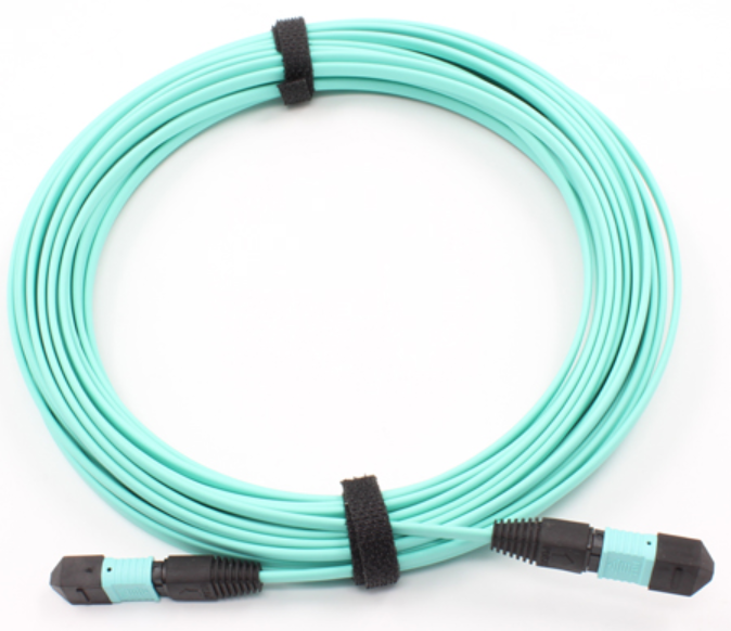 MPO-MPO 24芯多模萬兆光纖跳線